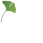 Le Chemin du Ginkgo