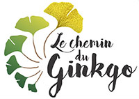 logo chemin gingko zhi neng1